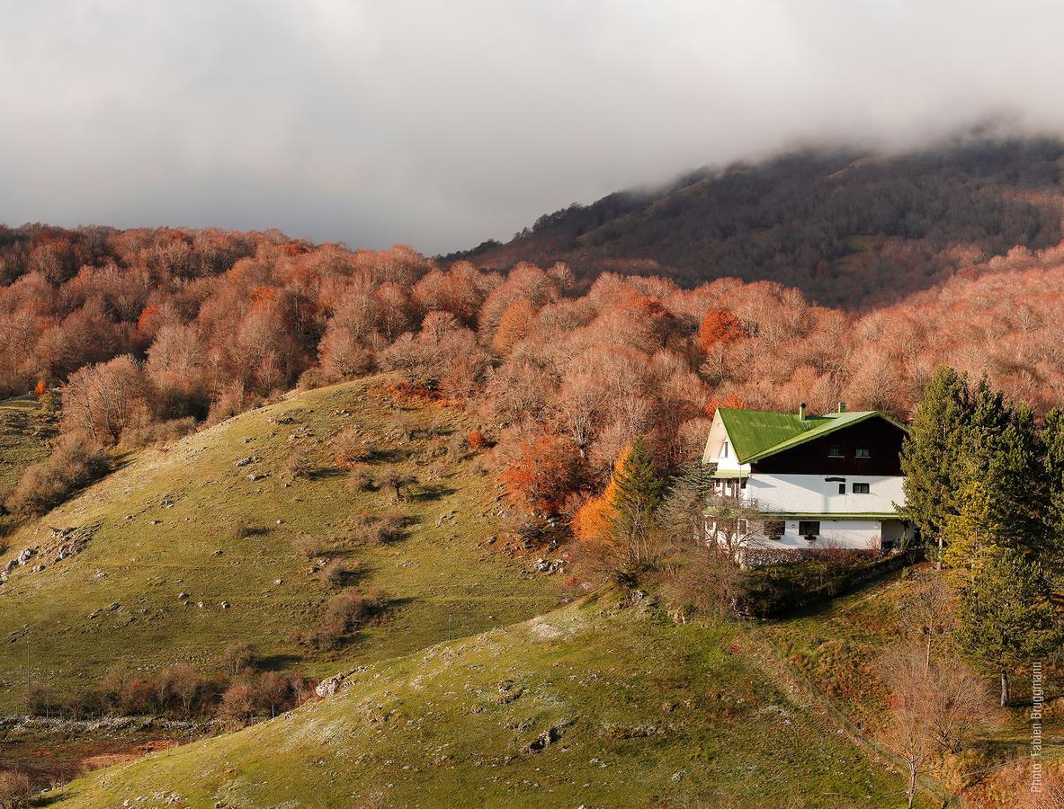 Hotel Valle Del Lupo Pescasseroli Exteriér fotografie